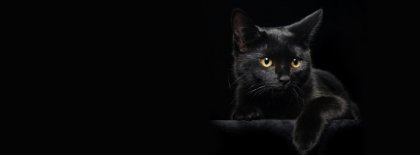 Black Cat Facebook Covers