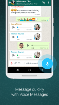 WhatsApp Messenger Screenshot - 4